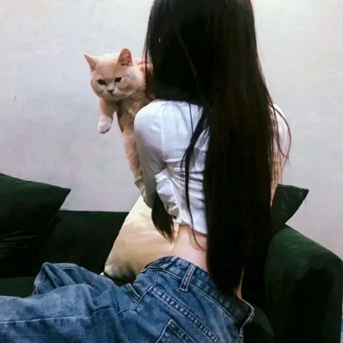 复仇者